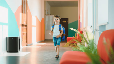 Air Purifiers For Classrooms: 5 Essential Tips